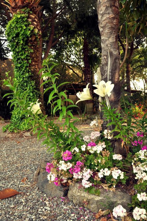 Le Mannare Case Vacanze Di Metopa Srl Piano Conte Dış mekan fotoğraf